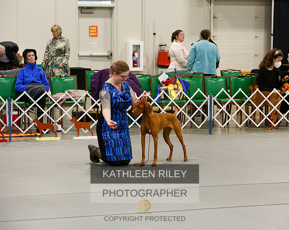 2022-KathleenRileyPhotography-7182