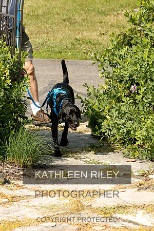 2022-KathleenRileyPhotography-9368