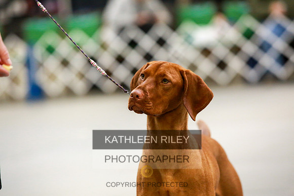 2022-KathleenRileyPhotography-8784