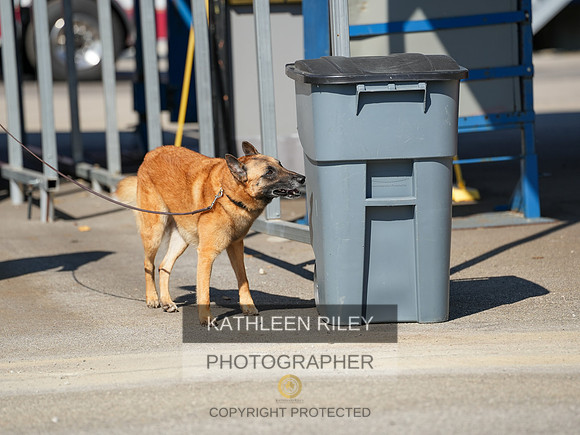 2022-KathleenRileyPhotography-03886