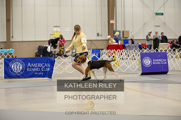 SJLT6078