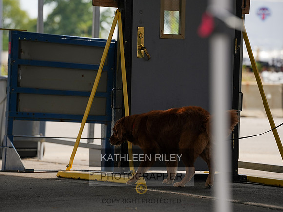 2022-KathleenRileyPhotography-04402
