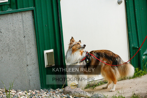 2022-KathleenRileyPhotography-0410