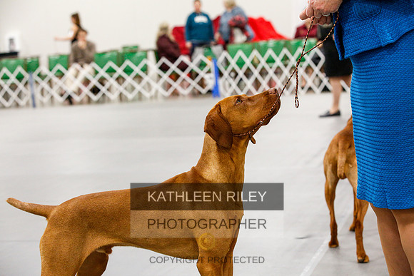 2022-KathleenRileyPhotography-1483