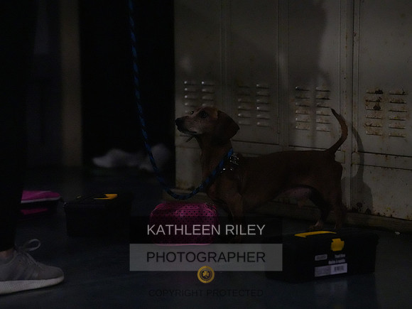 2022-KathleenRileyPhotography192
