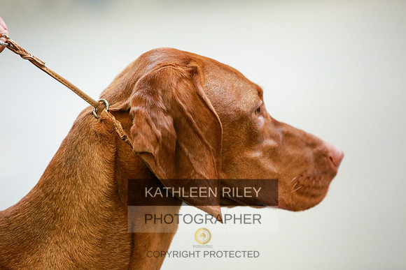 2022-KathleenRileyPhotography-8794