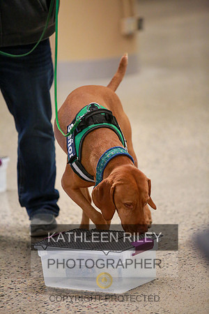 2022-KathleenRileyPhotography-7567