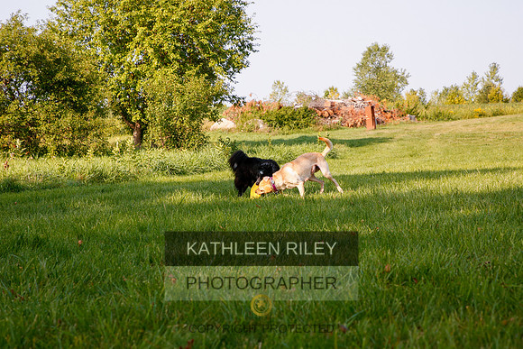2022-KathleenRileyPhotography-5558