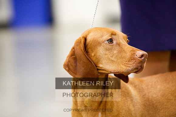 2022-KathleenRileyPhotography-2371