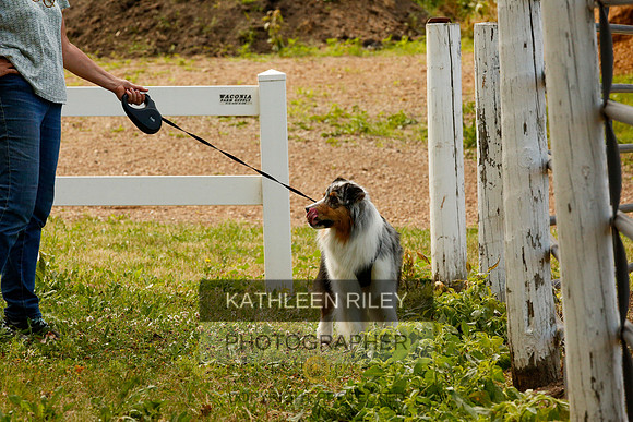 2022-KathleenRileyPhotography-0017