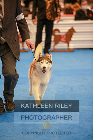 2022-KathleenRileyPhotography-5627