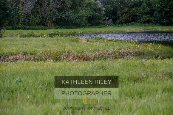 2022-KathleenRileyPhotography-3342