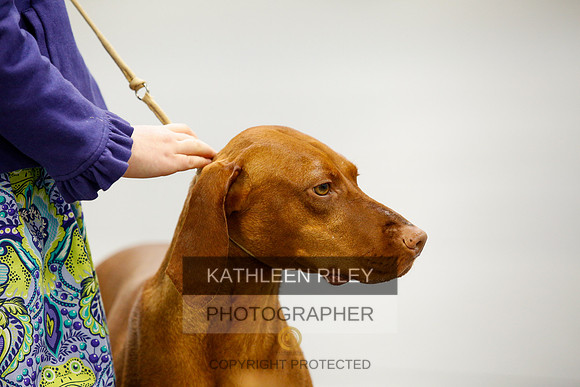 2022-KathleenRileyPhotography-9931