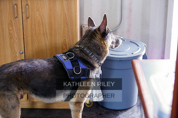 2022-KathleenRileyPhotography-6819