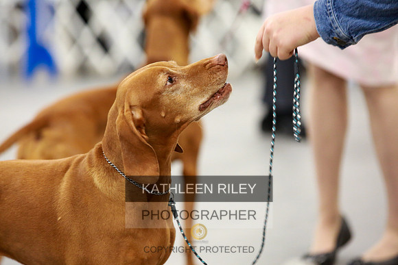2022-KathleenRileyPhotography-8153