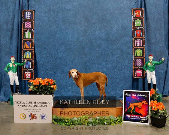 2022-KathleenRileyPhotography-0803