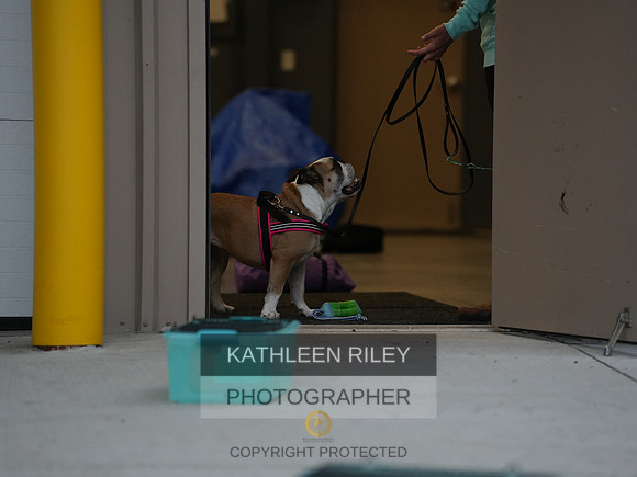 2022-KathleenRileyPhotography009