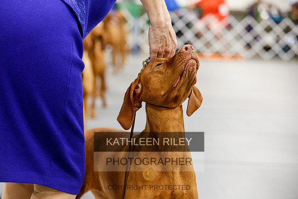 2022-KathleenRileyPhotography-2208