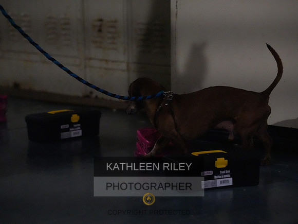 2022-KathleenRileyPhotography172