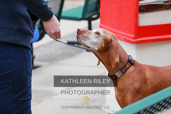 2022-KathleenRileyPhotography-7378