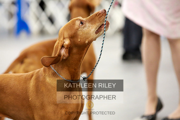 2022-KathleenRileyPhotography-8154