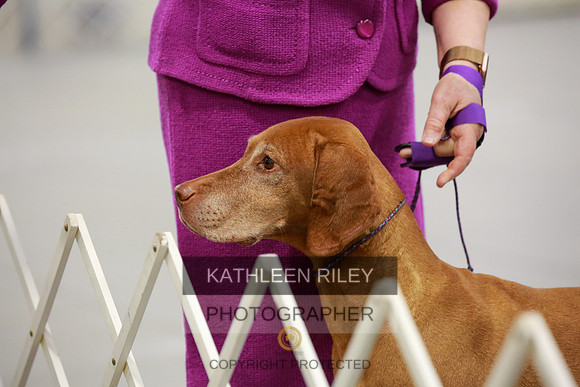 2022-KathleenRileyPhotography-8164