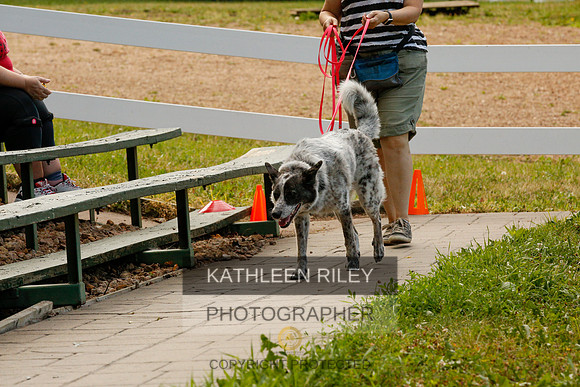2022-KathleenRileyPhotography-0059