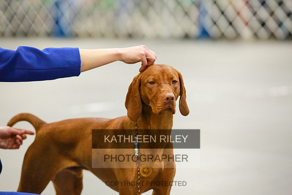 2022-KathleenRileyPhotography-8592
