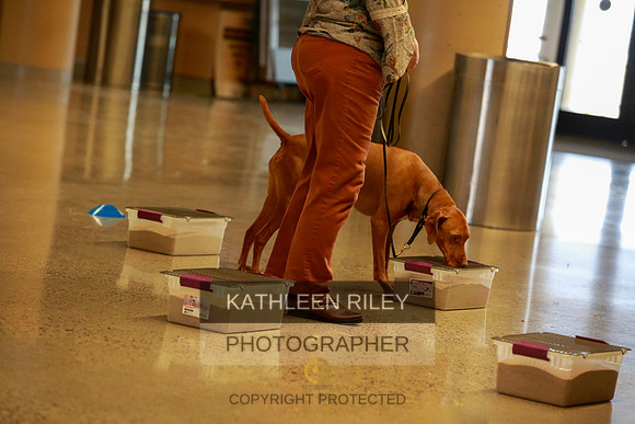 2022-KathleenRileyPhotography-7529