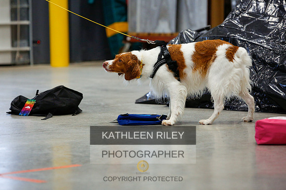 2022-KathleenRileyPhotography-7223