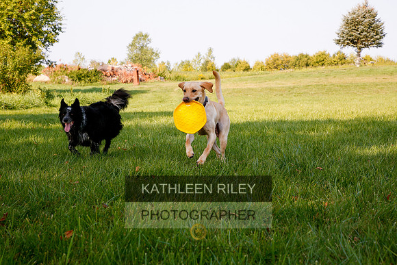 2022-KathleenRileyPhotography-5590