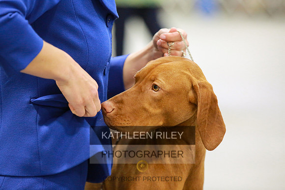2022-KathleenRileyPhotography-8549