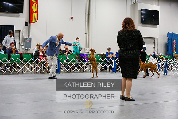 2022-KathleenRileyPhotography-6713