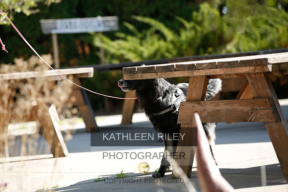 2022-KathleenRileyPhotography-2672