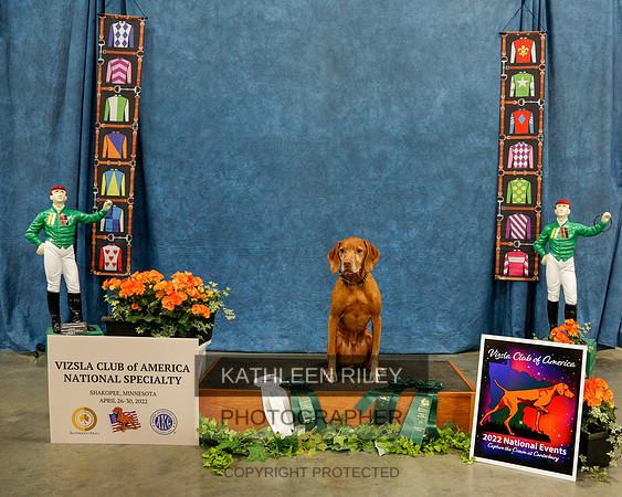 2022-KathleenRileyPhotography-7244