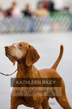 2022-KathleenRileyPhotography-1436