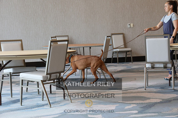 WGMC3352