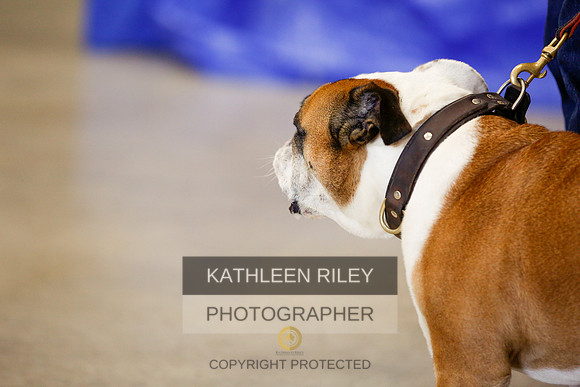2022-KathleenRileyPhotography-7337
