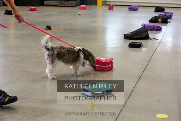 2022-KathleenRileyPhotography-4870