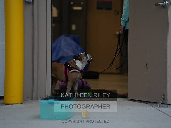 2022-KathleenRileyPhotography011