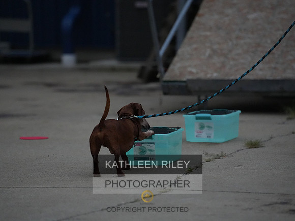 2022-KathleenRileyPhotography123