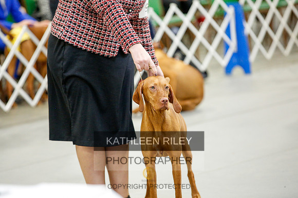 2022-KathleenRileyPhotography-9667