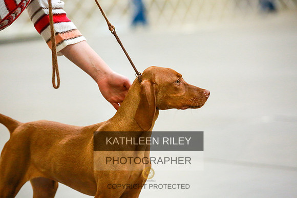 2022-KathleenRileyPhotography-8725