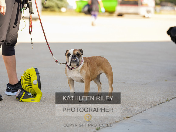 2022-KathleenRileyPhotography-03731