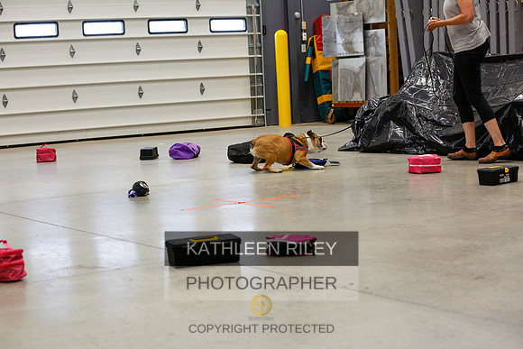 2022-KathleenRileyPhotography-7029
