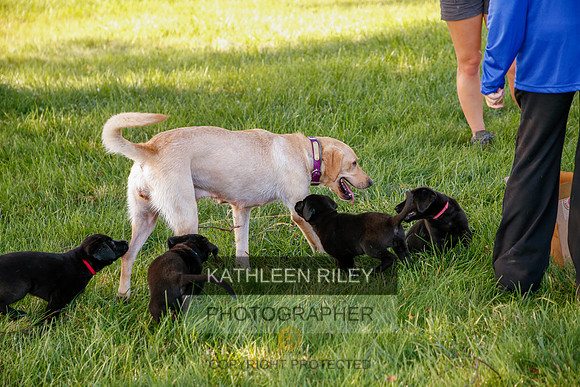 2022-KathleenRileyPhotography-5374