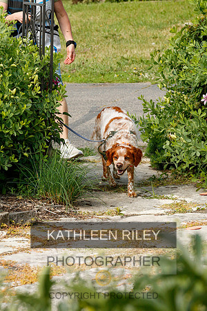 2022-KathleenRileyPhotography-9376