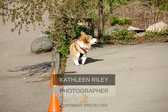 2022-KathleenRileyPhotography-2658