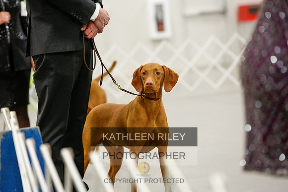 2022-KathleenRileyPhotography-0134