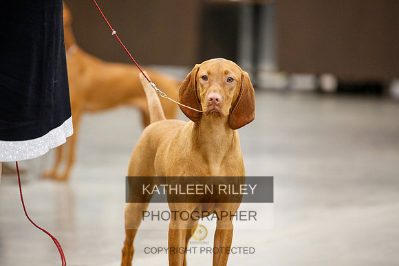 2022-KathleenRileyPhotography-2357